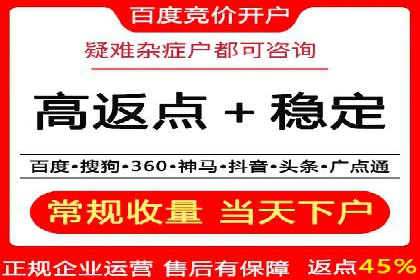 谷歌SEM案例研究：数据分析与效果评估